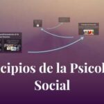 ¿Cuáles son los principios de la psicología social?